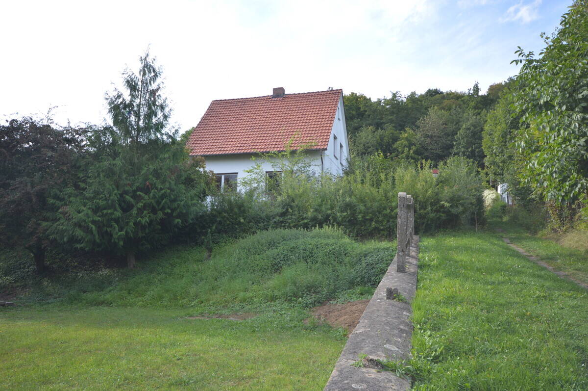 image-72781171