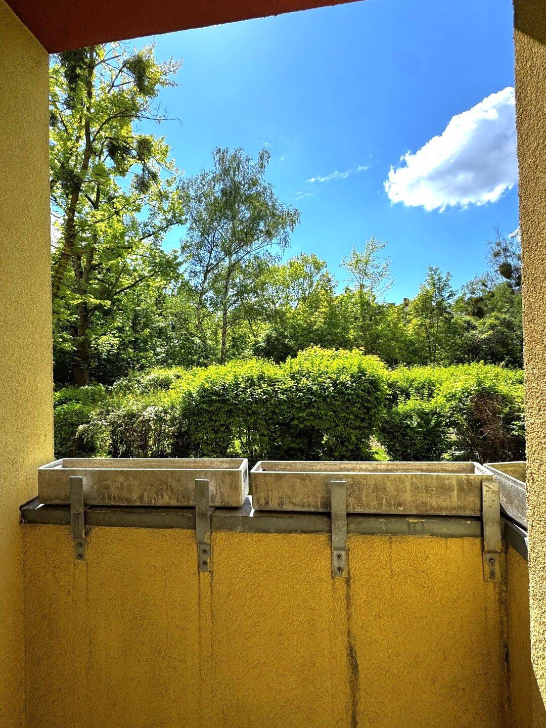 image-72765697