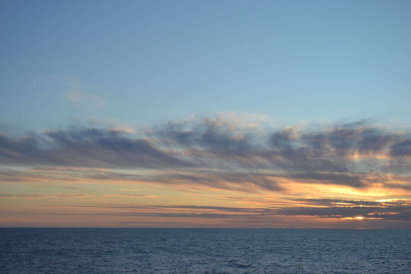 image-72562452