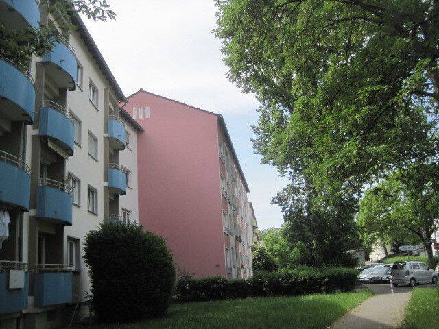 image-72596586