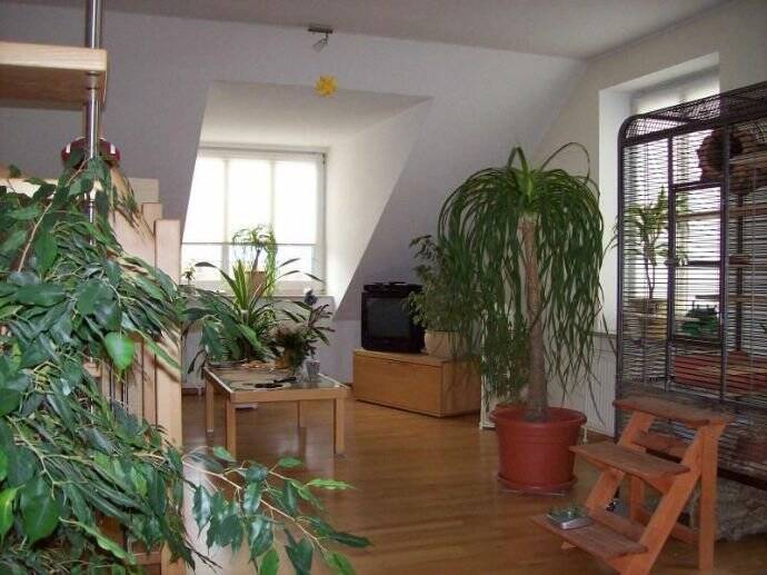 Lichtdurchflutete Maisonettewohnung, perfekt für Singles oder junge Paare, provisionsfrei, 22159 Hamburg (Wandsbek Bramfeld Farmsen-Berne Sasel Tonndorf)