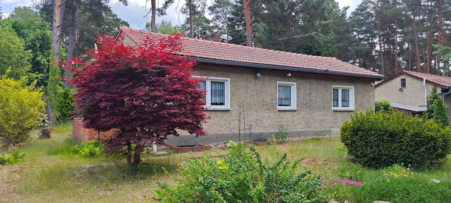 Einfamilienhaus mit großem Grundstück in Beelitz / Fichtenwalde – Provisionsfrei, 14547 Beelitz