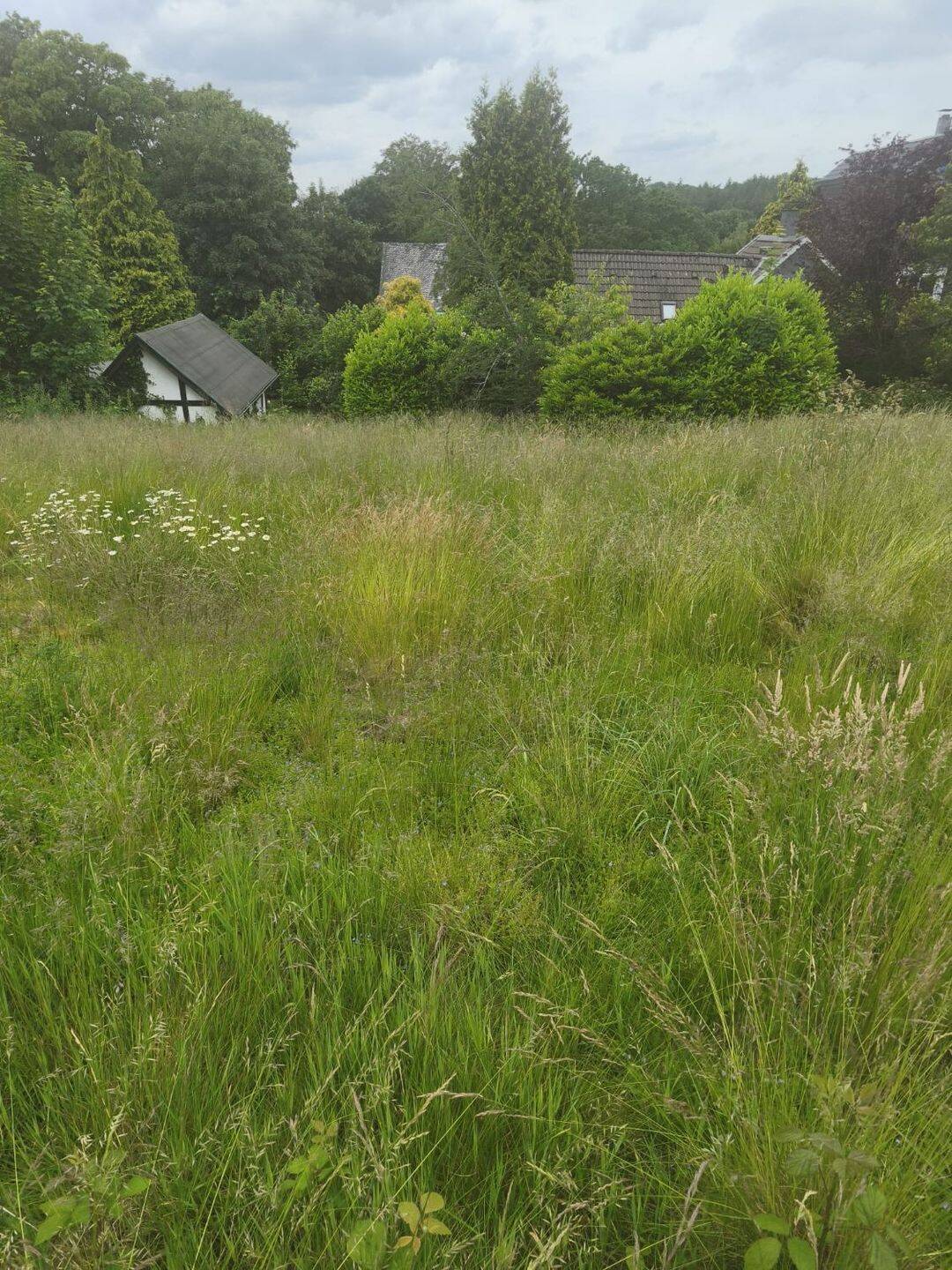 Sonniges Baugrundstück in TOP LAGE VON Remscheid, 42859 Remscheid (Innen Süd)