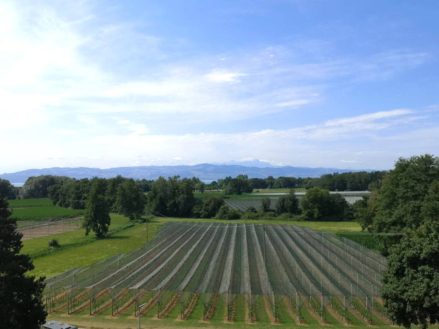 Für Handwerker: Renovierungsbedürftige, leerstehende 4,5-Zi.-Whg. (5.OG, Aufzug) mit Garage und toller Sicht, 88079 Kressbronn am Bodensee