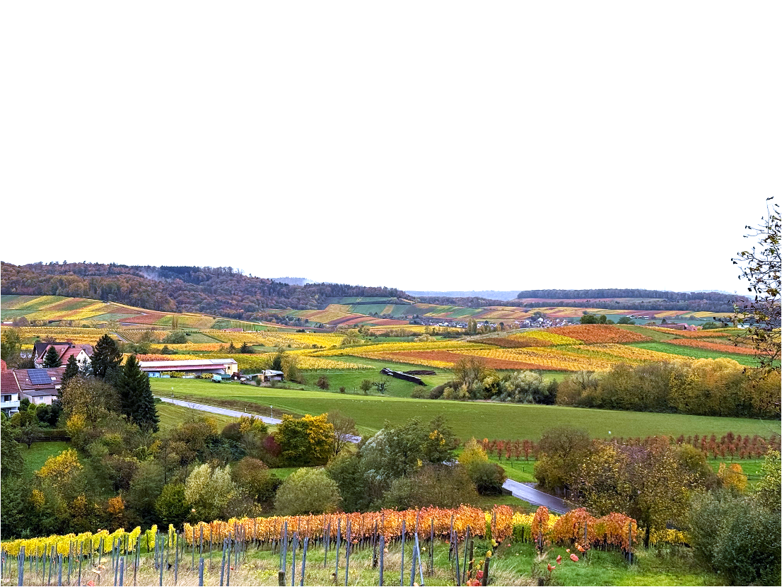 Grundstück in Aussichtslage mit Weinberg in Löwenstein, 74245 Löwenstein