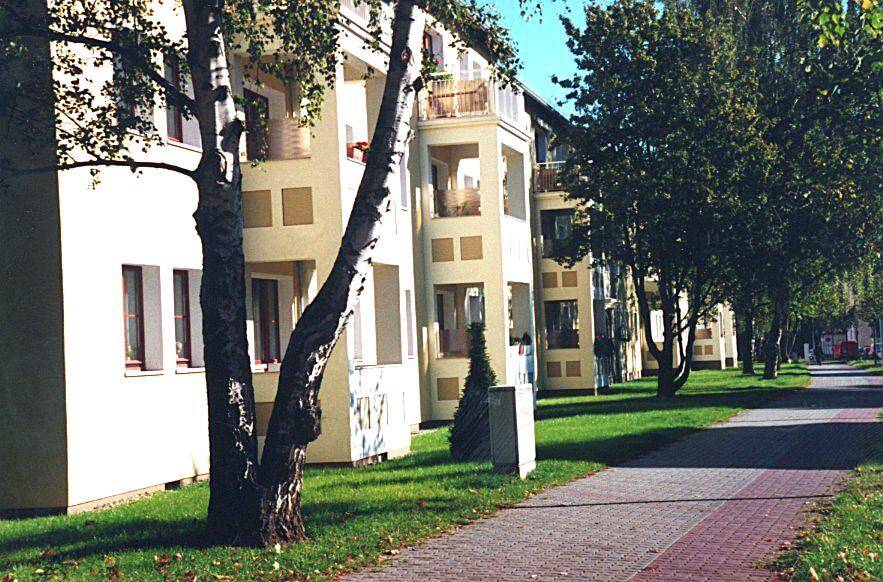 Ab Oktober zu vermieten! – Magdeburg – Bild 1 von 3