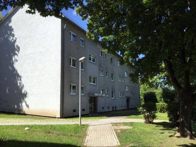 image-72779961