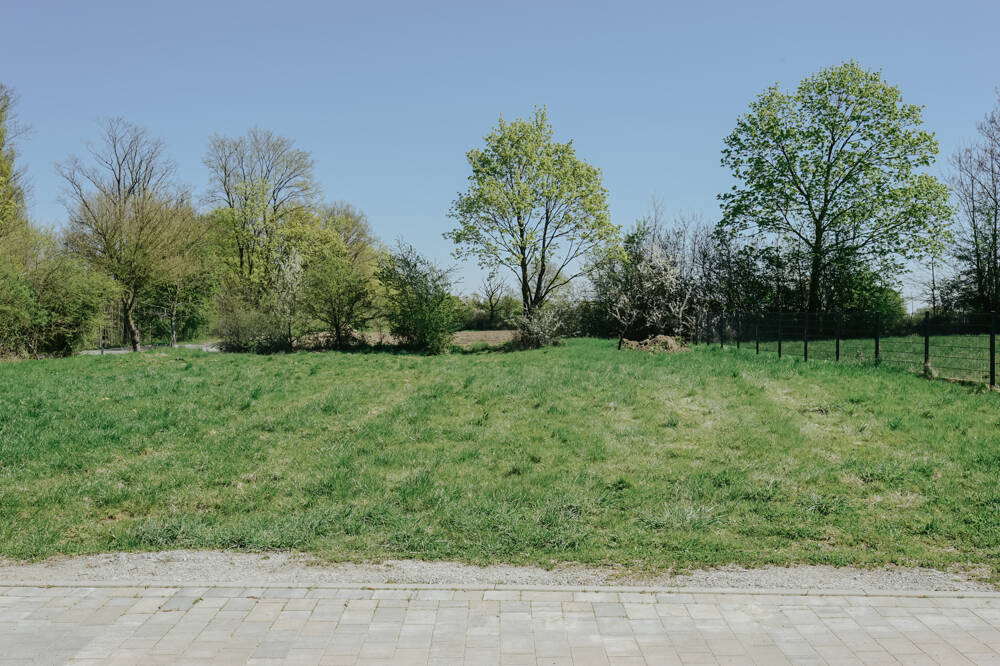 image-72503323