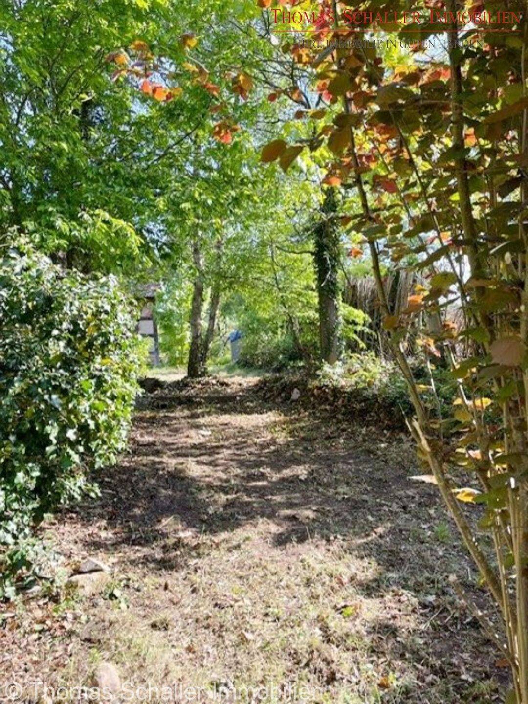 Baugrundstück mit Altbestand in Pyrbaum OT Oberhembach, 90602 Pyrbaum