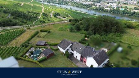 Wohnen über der Mosel: Modernisiertes Doppelangebot mit großem Grundstück, 54470 Graach an der Mosel