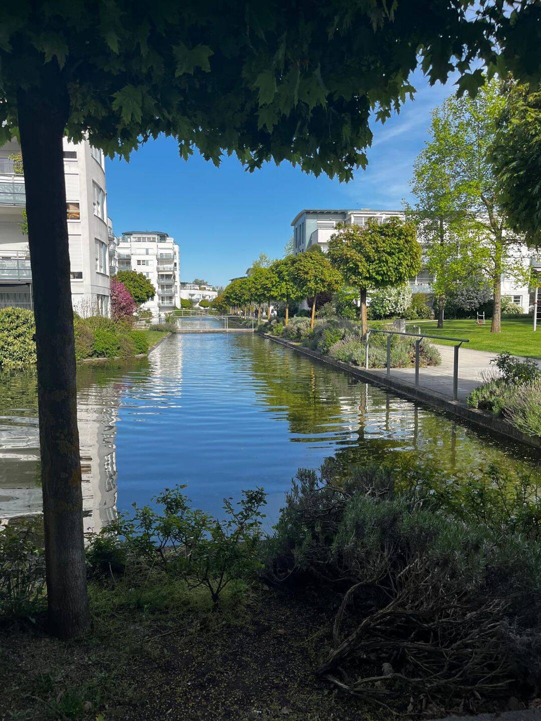 Erdgeschosswohnung in der Wohnoase im Regensburger Westen zu vermieten, 93049 Regensburg (Großprüfening-Dechbetten-Königswiesen Innenstadt Westenviertel)
