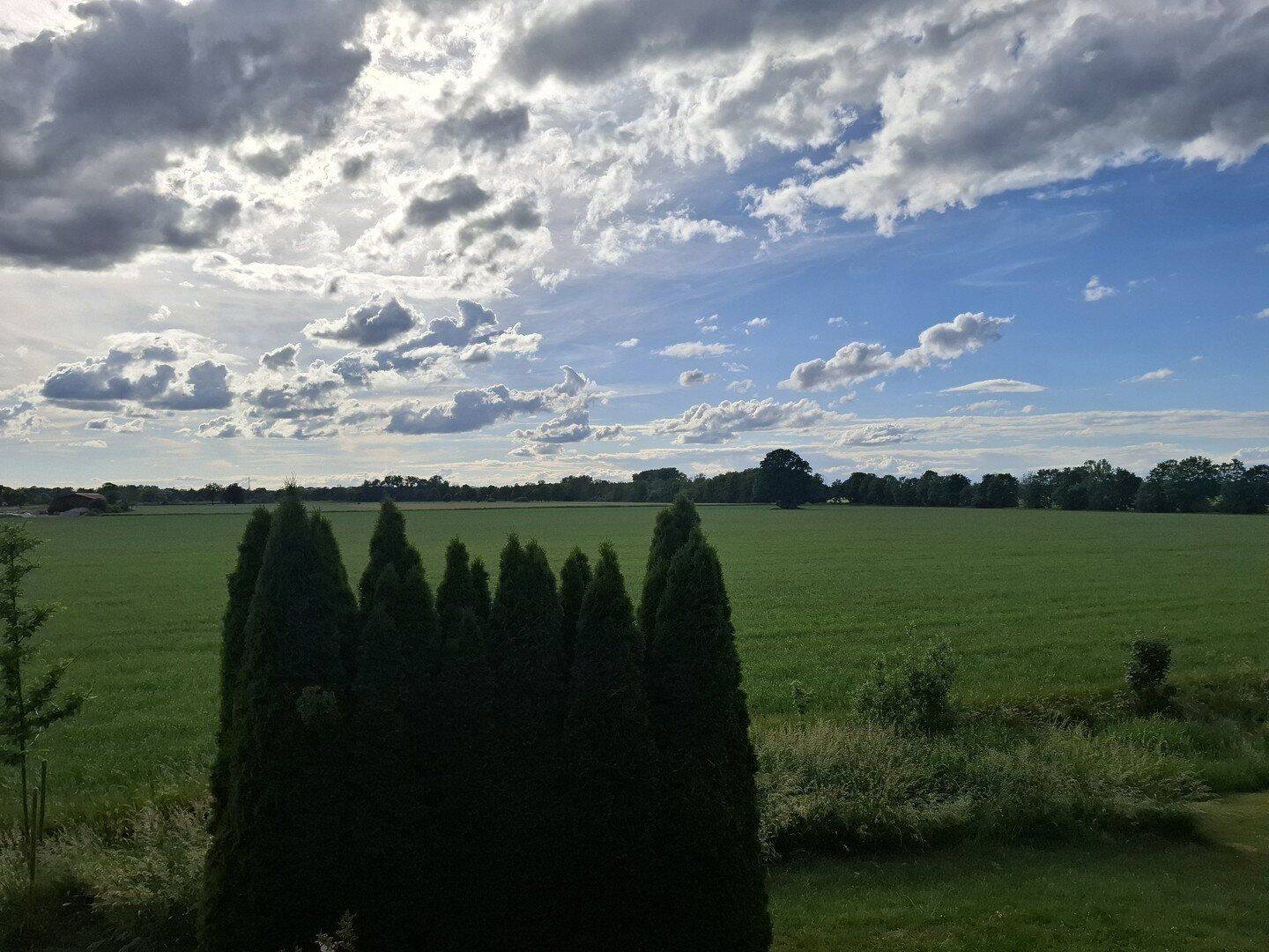 Ihr neues Zuhause: Viel Platz und ein herrlicher Blick ins Grüne, 86879 Wiedergeltingen