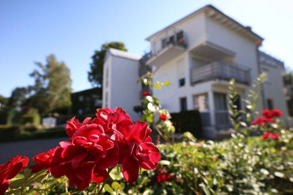 BLÜTE IN TRAUTHEIM …, 64367 Mühltal