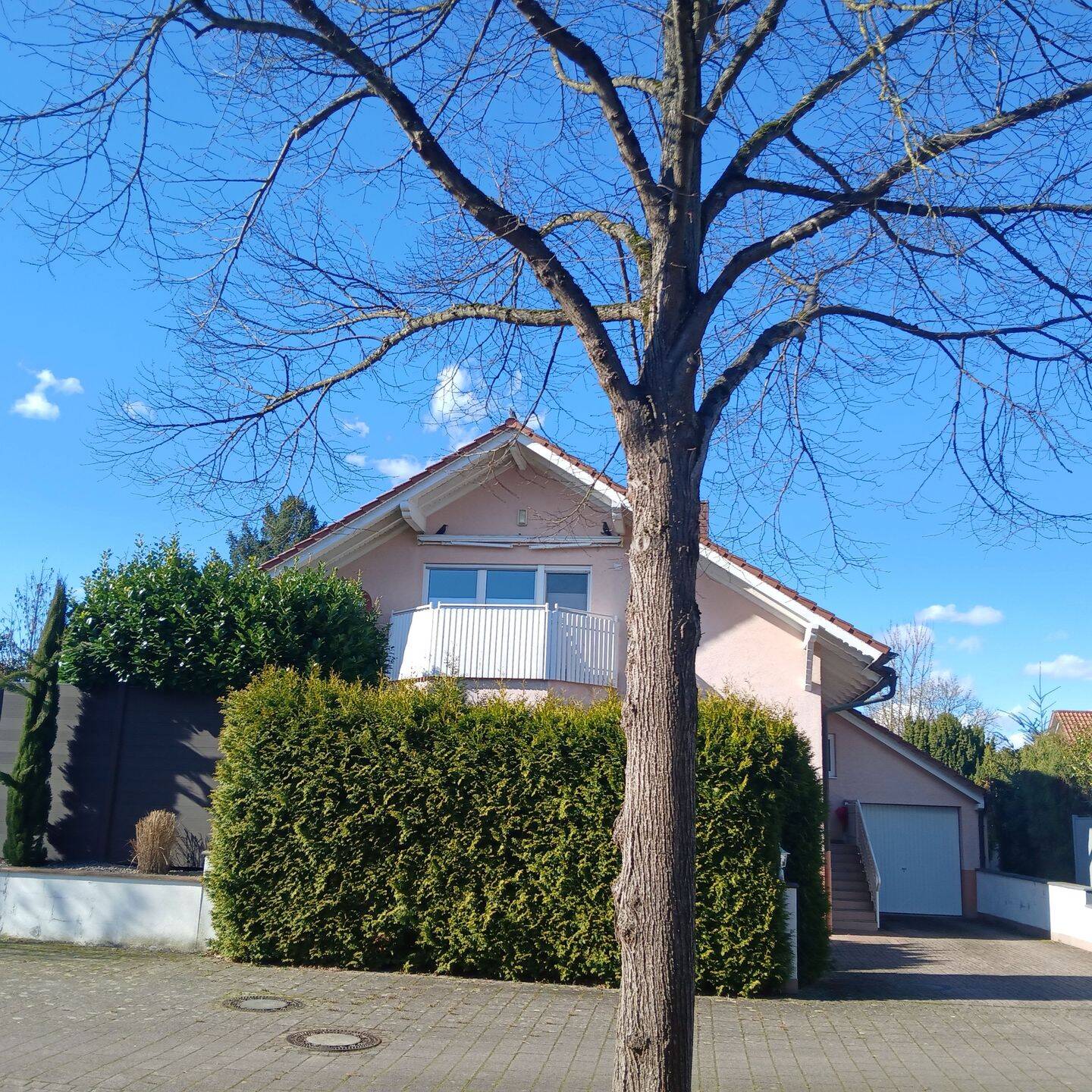 image-72726531