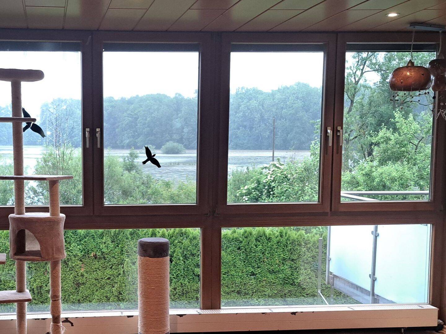 Haus in traumhafter Lage, 89423 Gundelfingen a.d. Donau