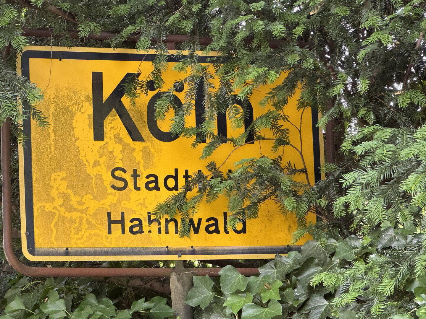 Großes Traumgrundstück mit Architektenvilla, 50996 Köln (Rodenkirchen Hahnwald Marienburg Weiß)