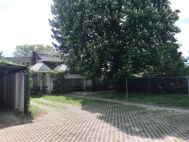 image-72594583