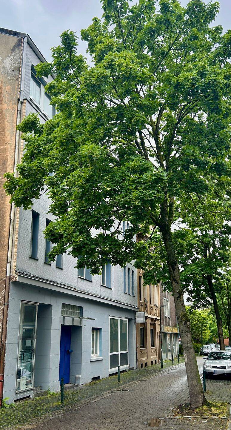 Toplage in der Ahlener Innenstadt: Attraktives Investmentobjekt !!, 59227 Ahlen