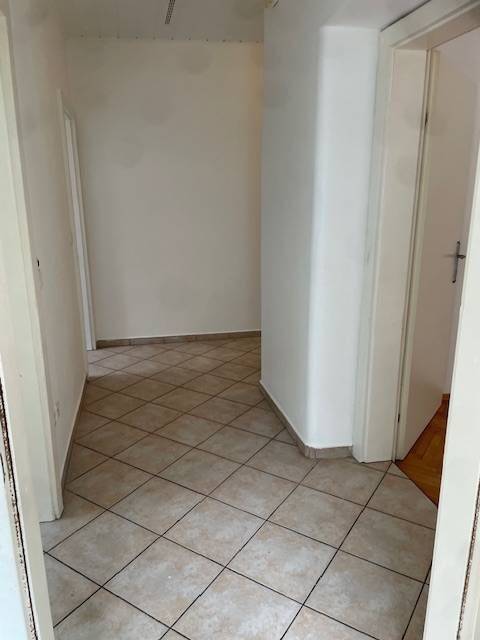 image-73003617