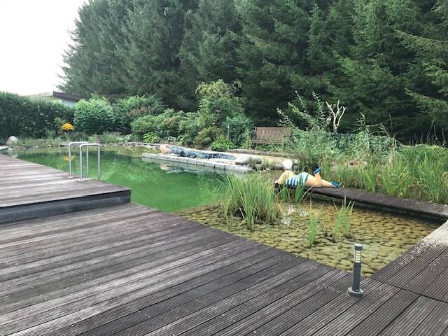 image-72721941