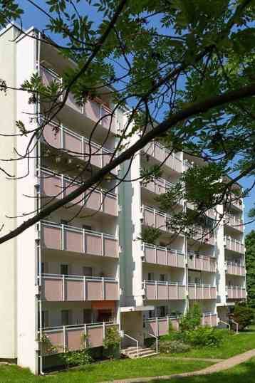 image-72697233