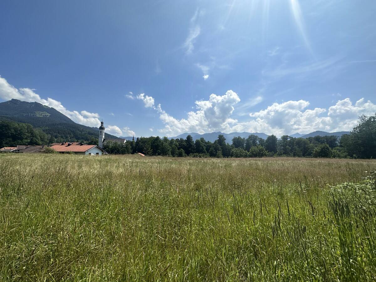 image-72306606