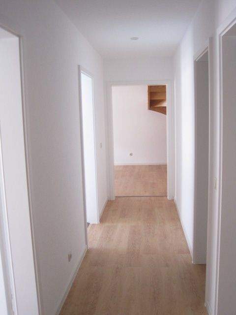 image-72486445