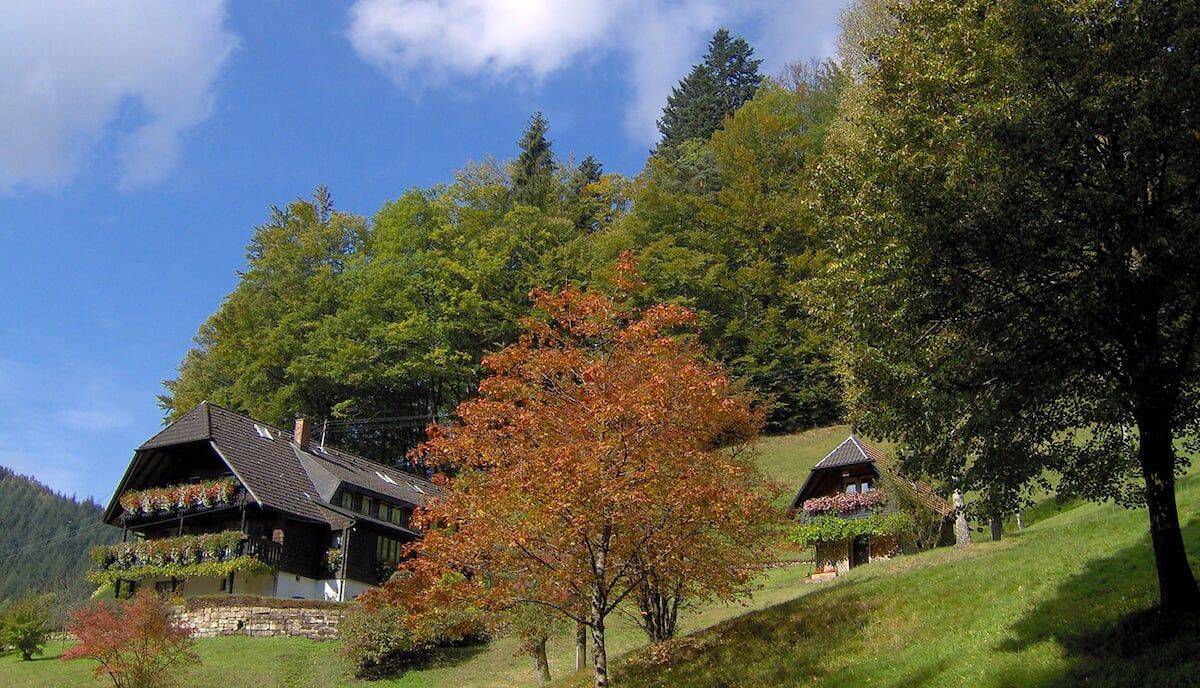 Voll möbliertes Apartment mit Waldblick in ruhiger Lage, 77776 Bad Rippoldsau-Schapbach