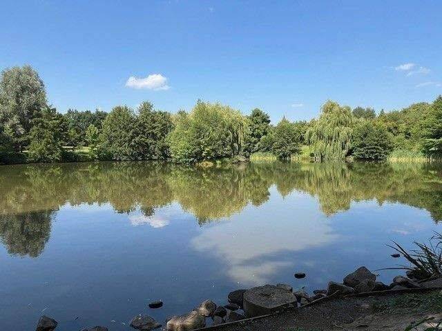 Kleines, schickes 1-Zimmer-Appartement | EBK auf Wunsch dazu, 8062 Zwickau