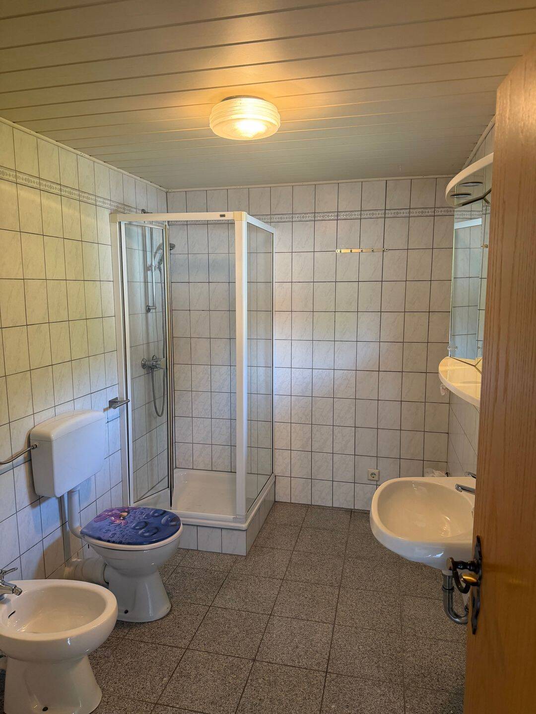 Gemütliche zwei Zimmer Wohnung, 78187 Geisingen