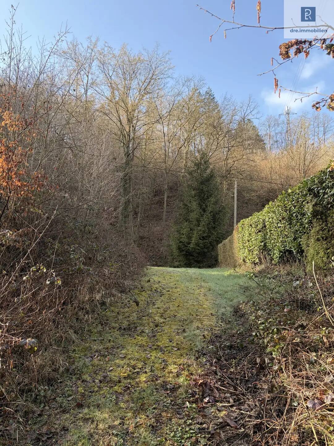 Großes und schön geschnittenes Baugrundstück in Leubsdorf – Bebauung nach Nachbarbebauung, 53547 Leubsdorf