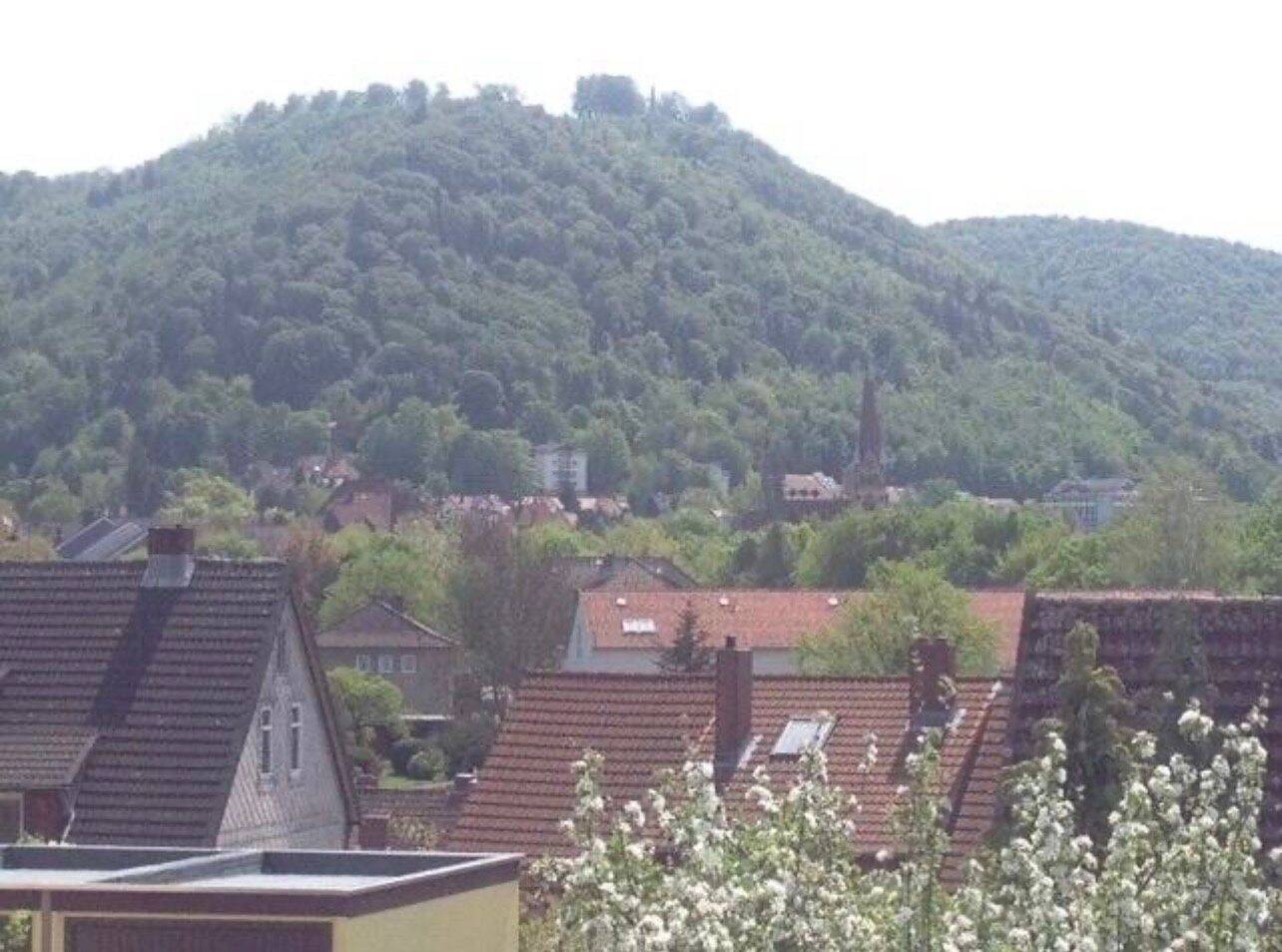Sonnige und moderne 2-Zi-Whg mit großem Südbalkon und Ausblick, 38667 Bad Harzburg