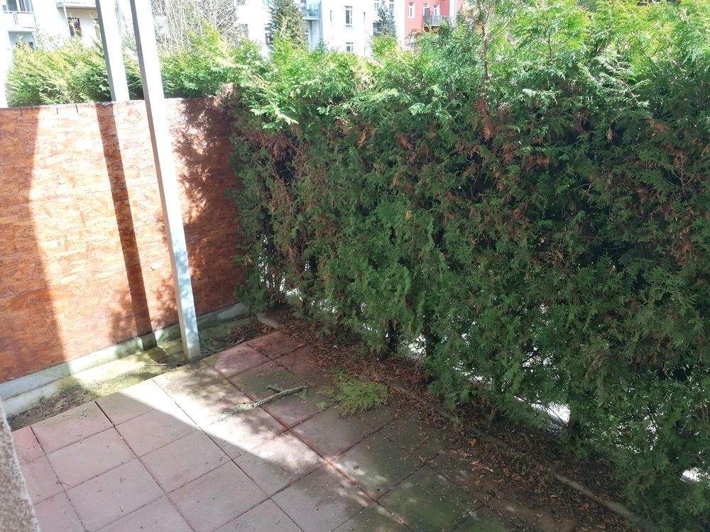 image-72624876