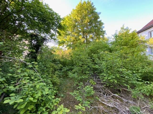 image-72771189