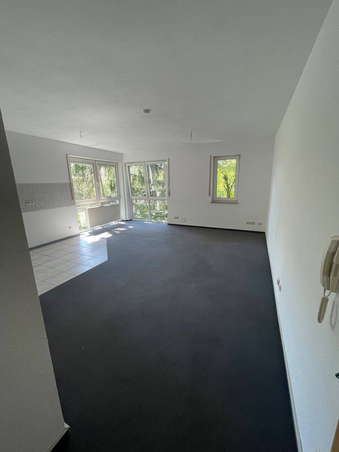1-Zimmer-Souterrainwohnung im Grünbereich, 97204 Höchberg