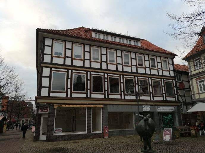 Großzügige 6-Zimmer Wohnung in der Innenstadt von Osterode am Harz, 37520 Osterode am Harz
