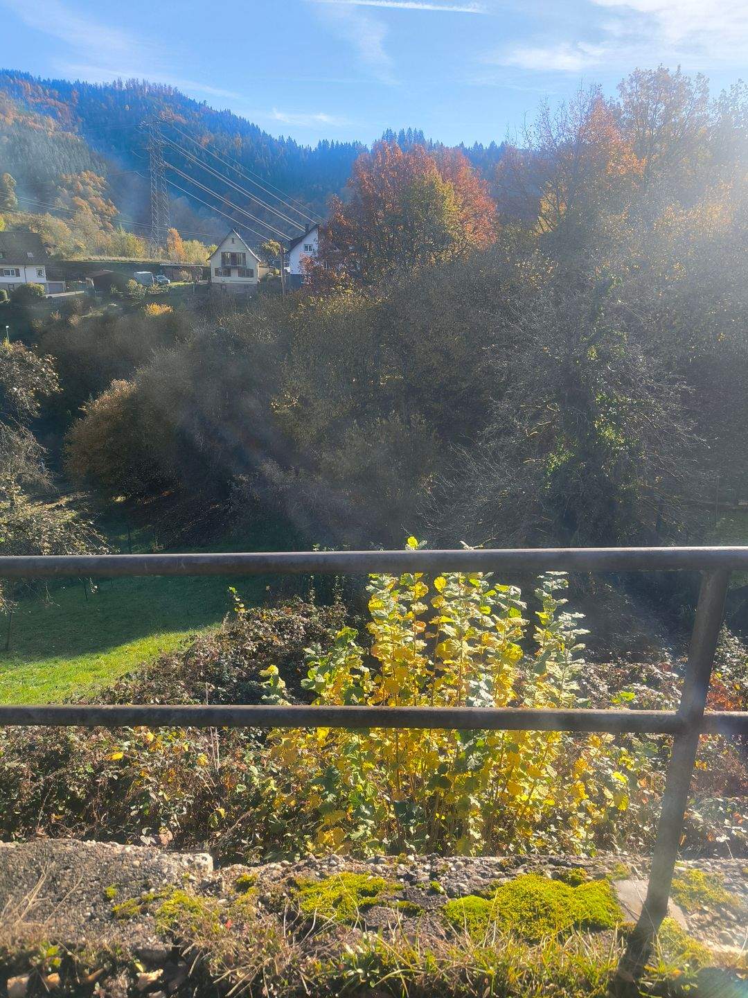 image-70295196