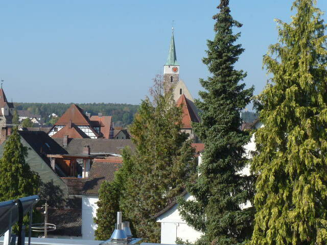 image-72922164