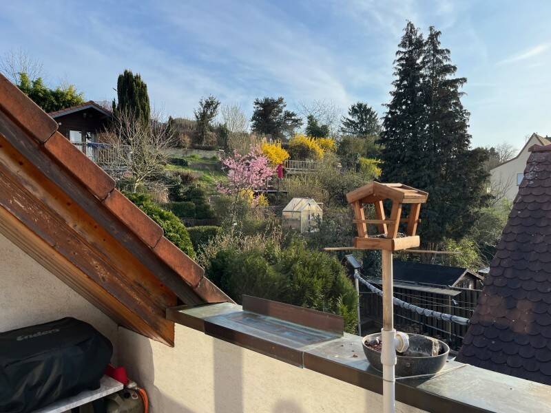 image-72842826