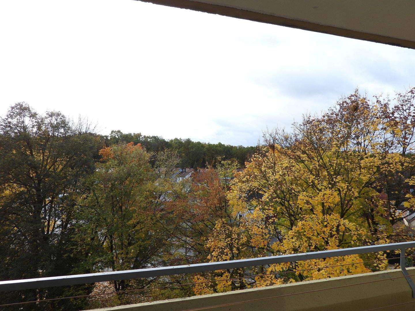 image-72631587