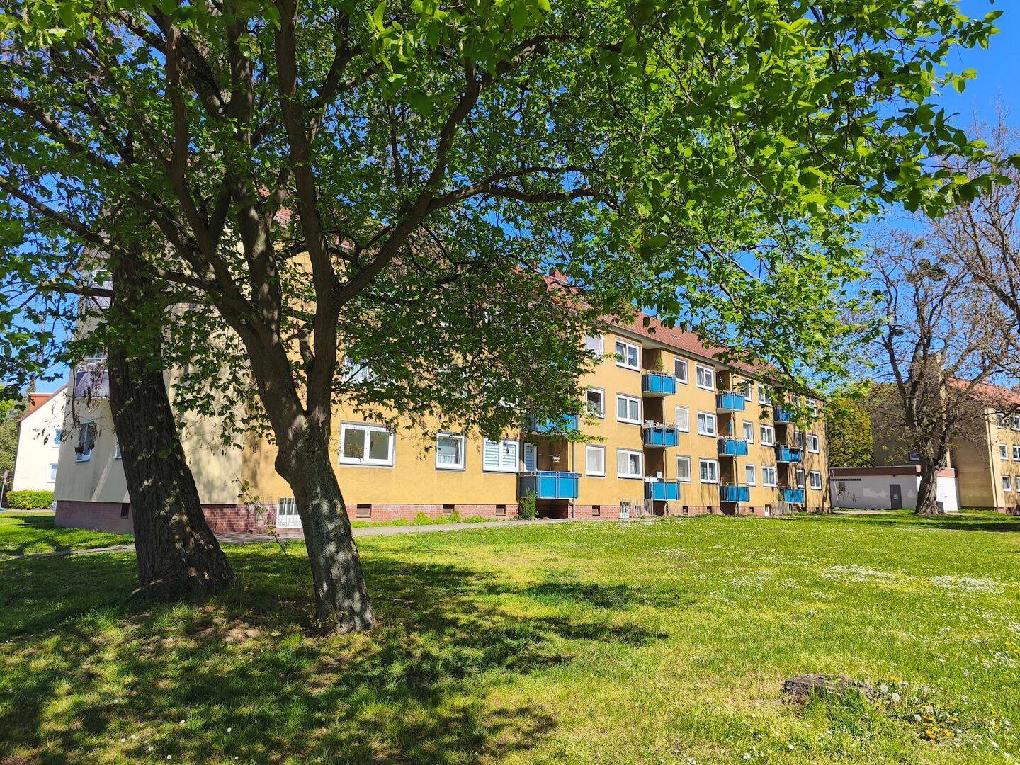 Modernes Zuhause im Erdgeschoss – frisch saniert, 38226 Salzgitter (Lebenstedt)