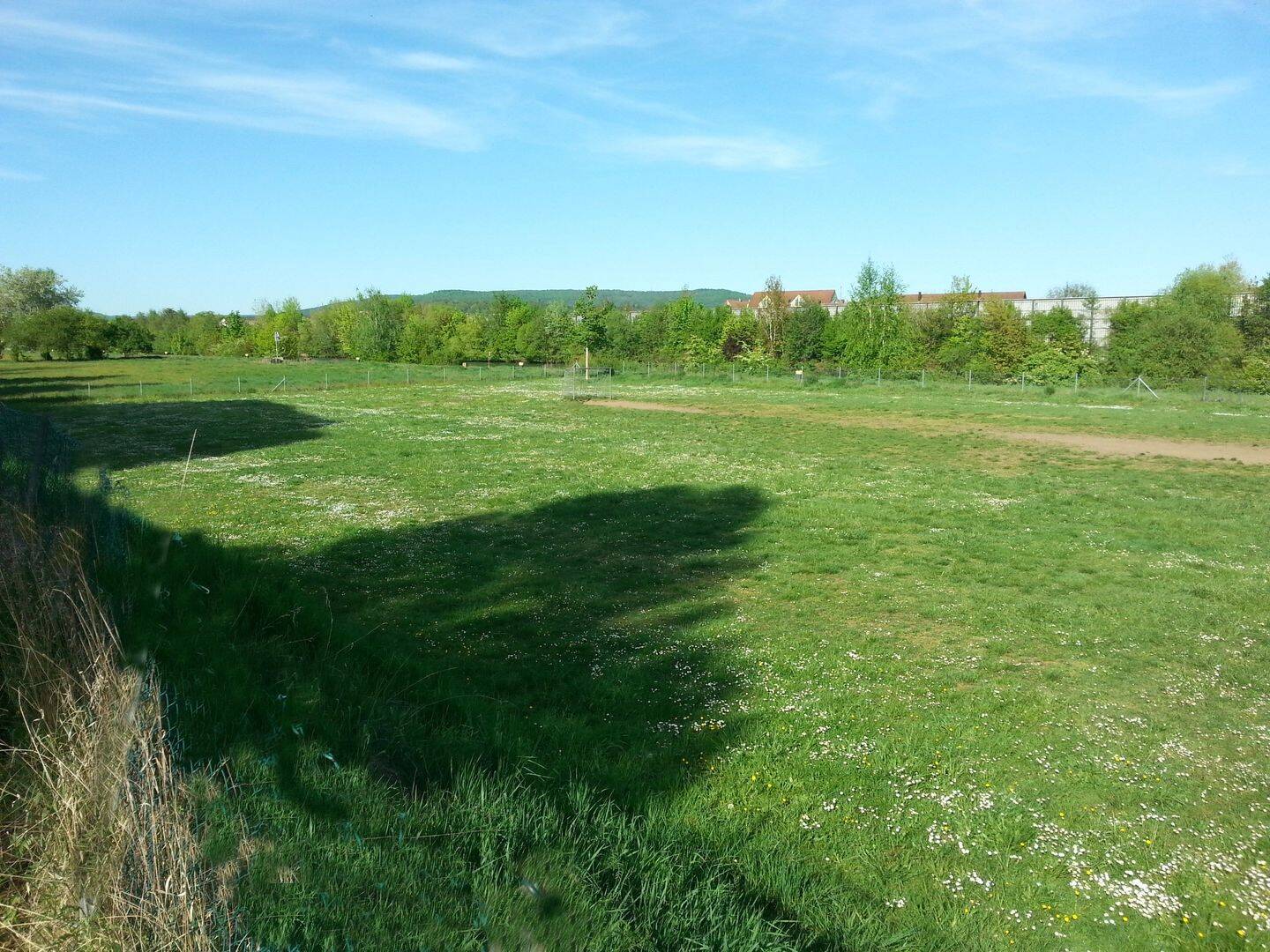image-72465256