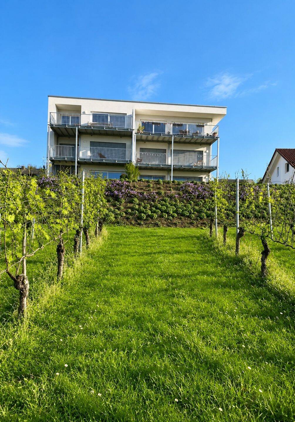 Wohnen mit Weitblick, 79415 Bad Bellingen