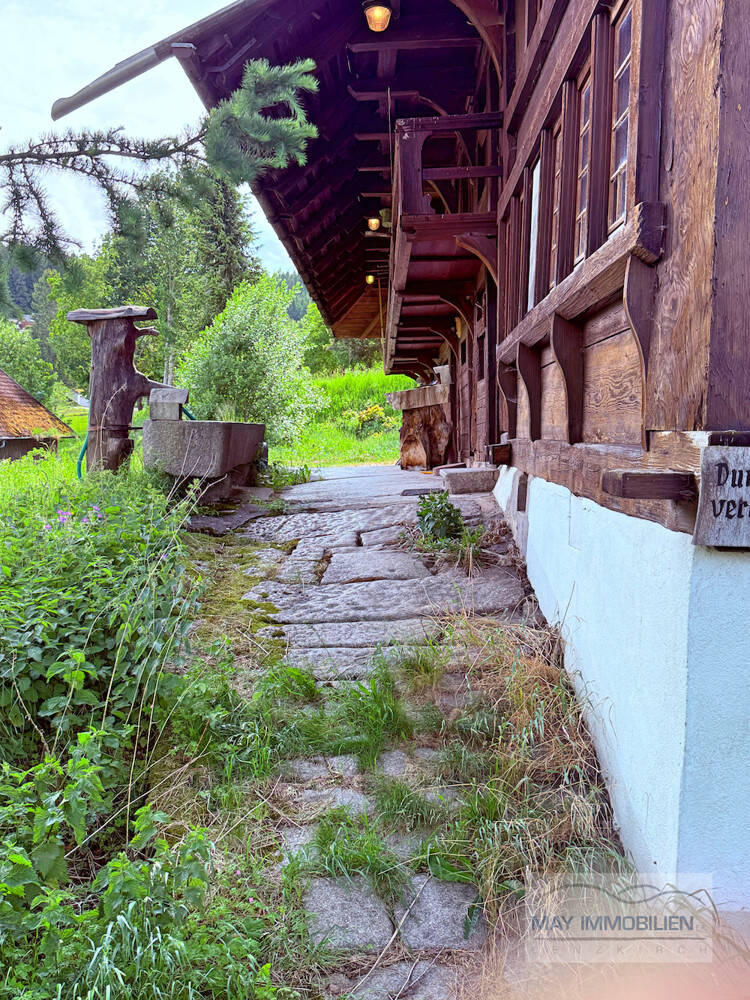 image-72543667