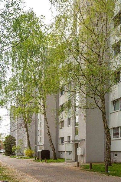 image-72993332