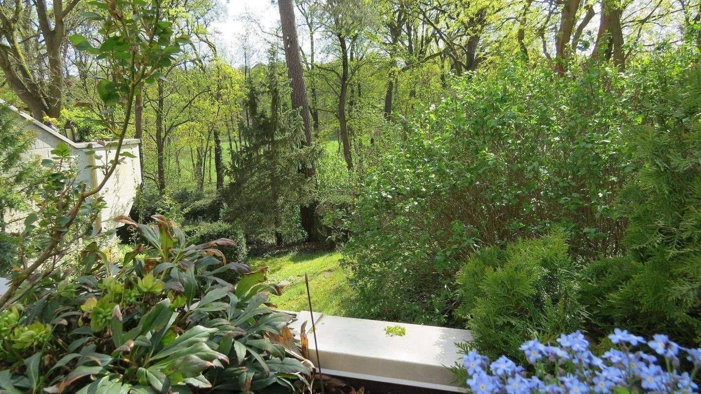 Berlin-Grunewald, beste Lage im EG aber zur Waldseite im 1.OG durch Hanglage mit großer Süd-Terrasse und herrlichem Blick in die Natur – Einzelgarage, 14193 Berlin (Steglitz-Zehlendorf Dahlem Grunewald Nikolassee Schmargendorf)
