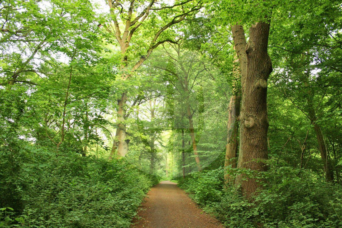 WALDRAND. WEITE. BAURECHT., 14109 Berlin (Steglitz-Zehlendorf Nikolassee Wannsee)