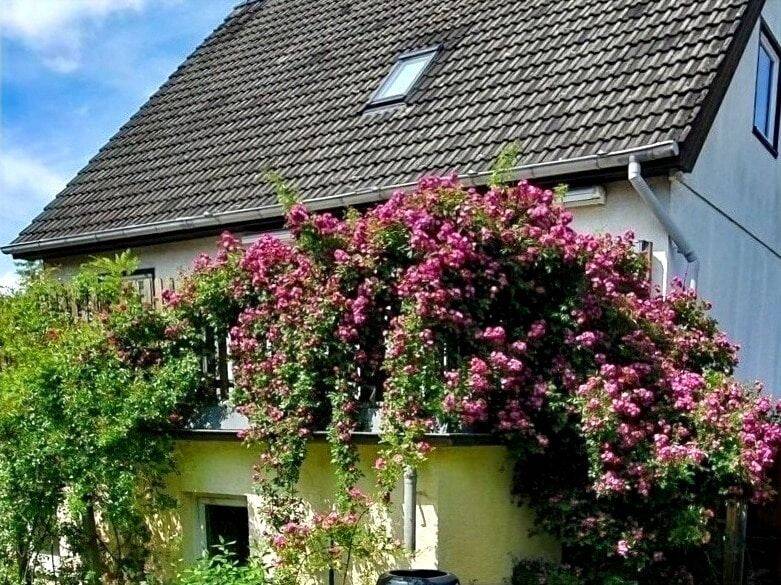 Schlafen, wie Dornröschen hinter den Rosen……… gepflegtes, bezugsfreies EFH/ZFH mit großem Raumangebot, 13503 Berlin (Reinickendorf)