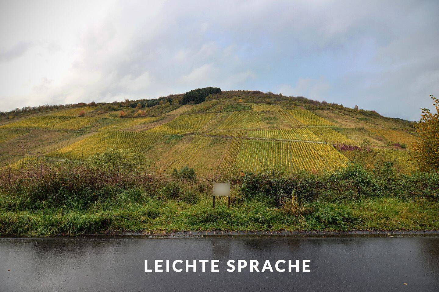 Ein Grundstück in Waldrach. – Sie können mit versetzten Etagen bauen. – – TEXT IN LEICHTER SPRACHE, 54320 Waldrach