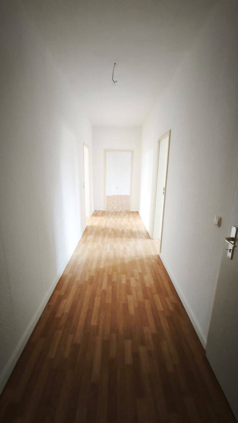 image-72546839